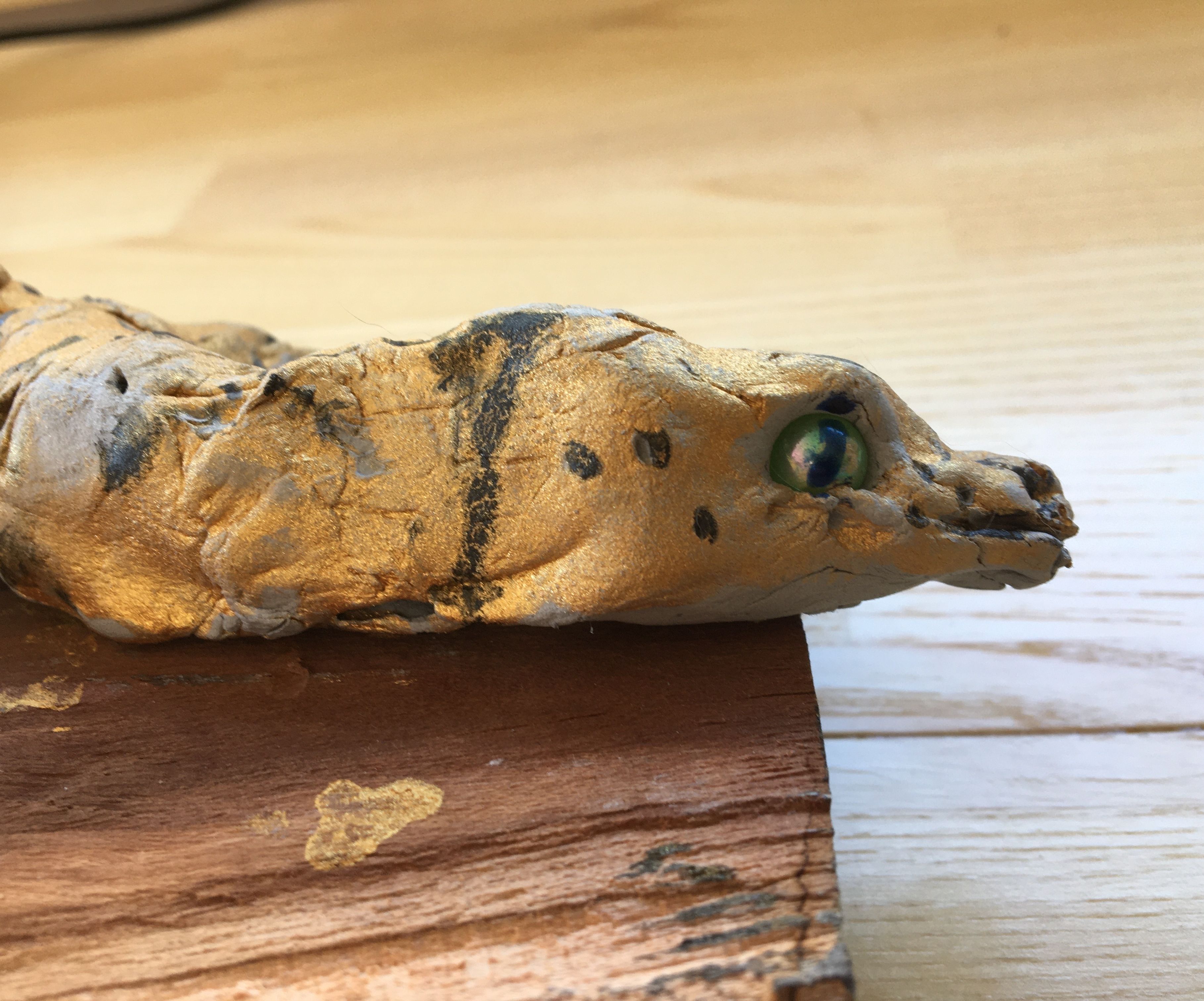 Clay Leopard Gecko 