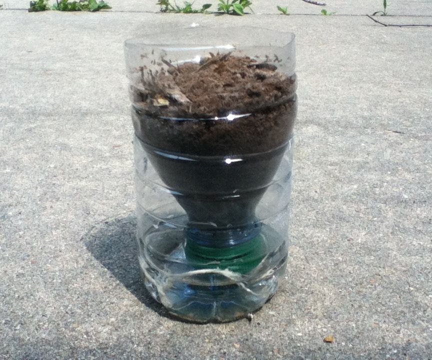 Self-watering Planter