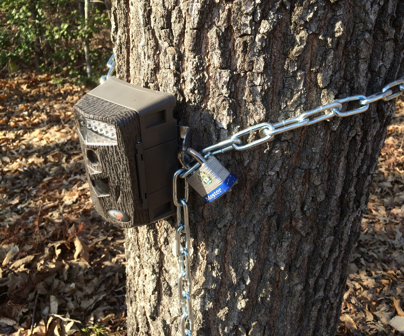 Trail Camera Lock