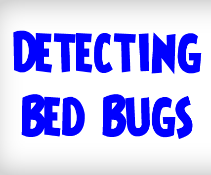 ULTIMATE Guide on How to Detect Bed Bugs | Detecting a Bed Bug Infestation