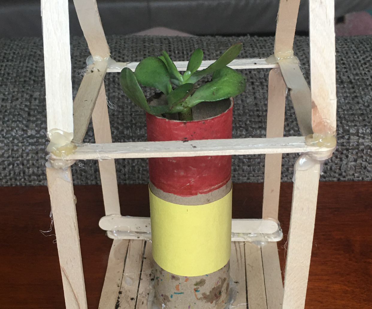 Plant House