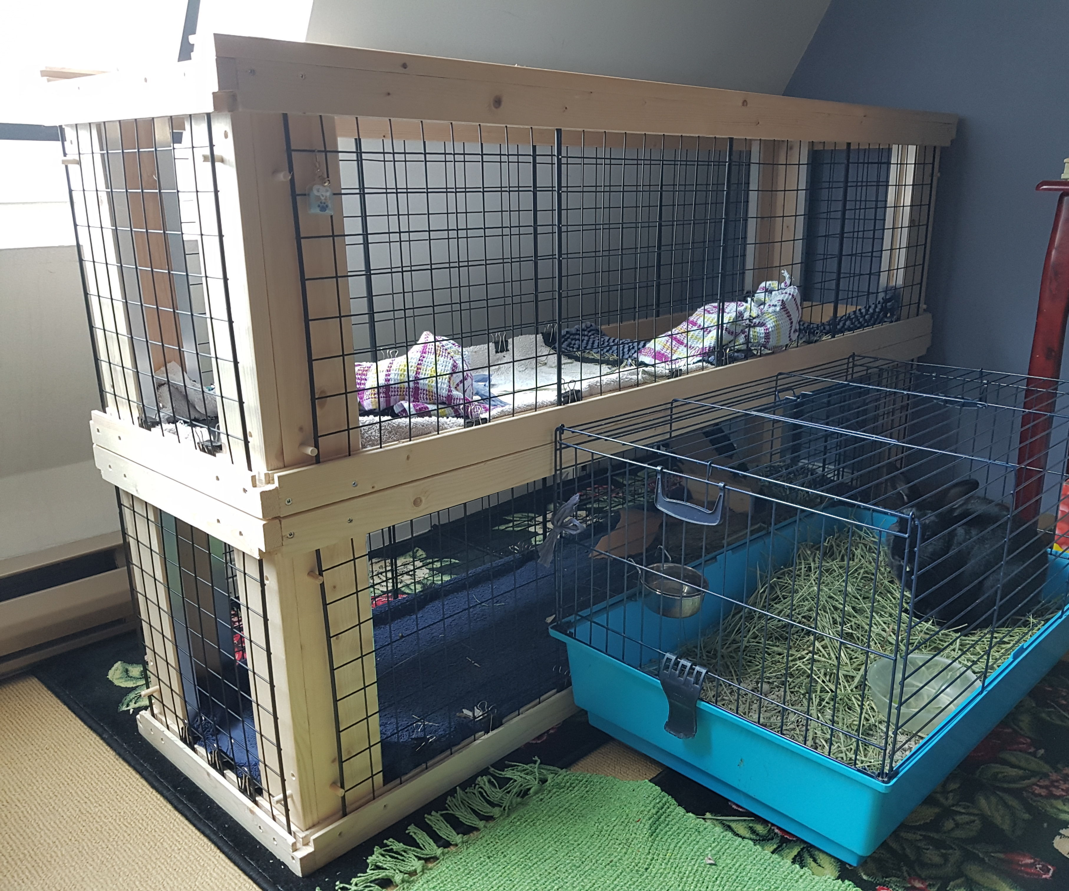 Two-Story Indoor Rabbit Hutch
