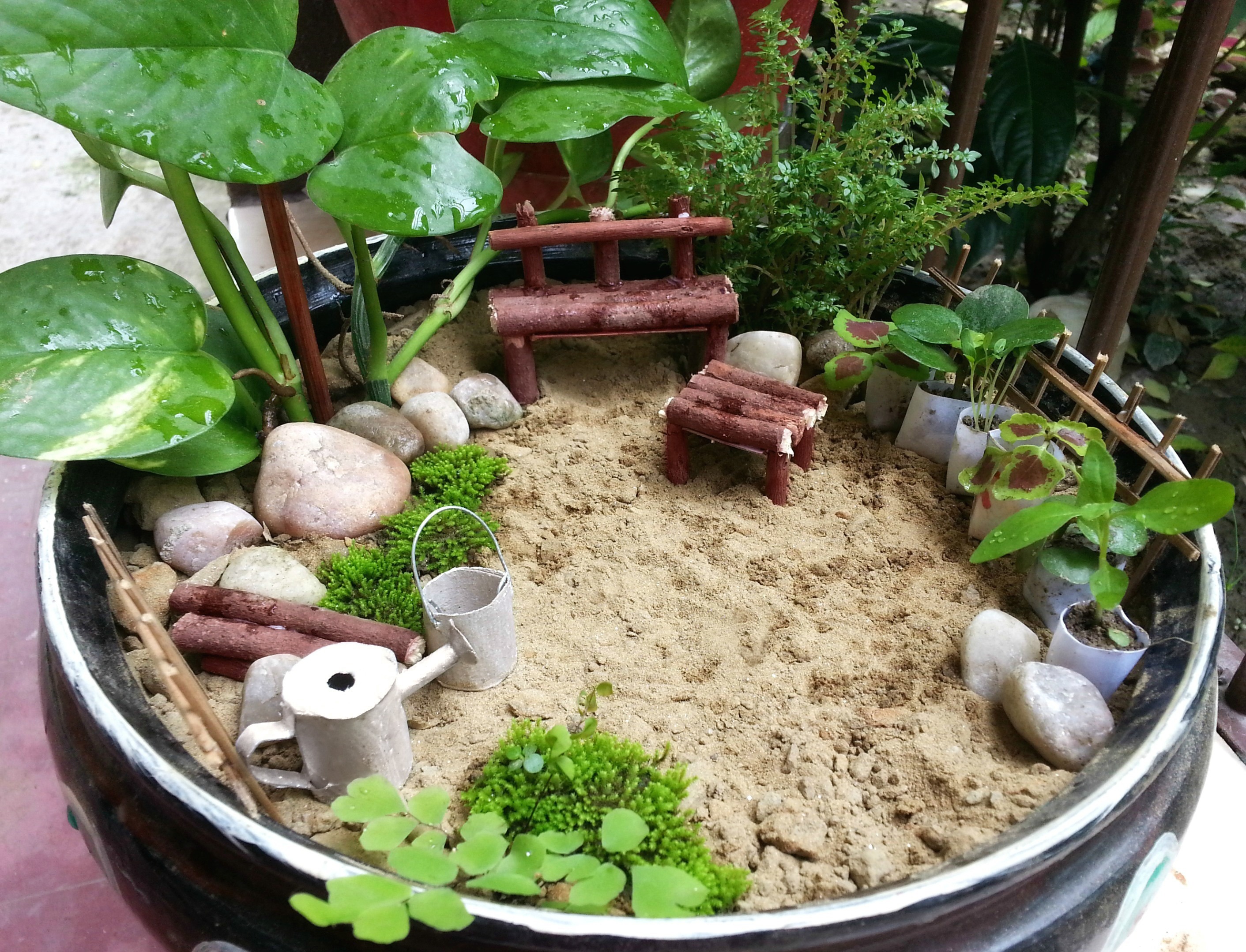 DIY Miniature Garden