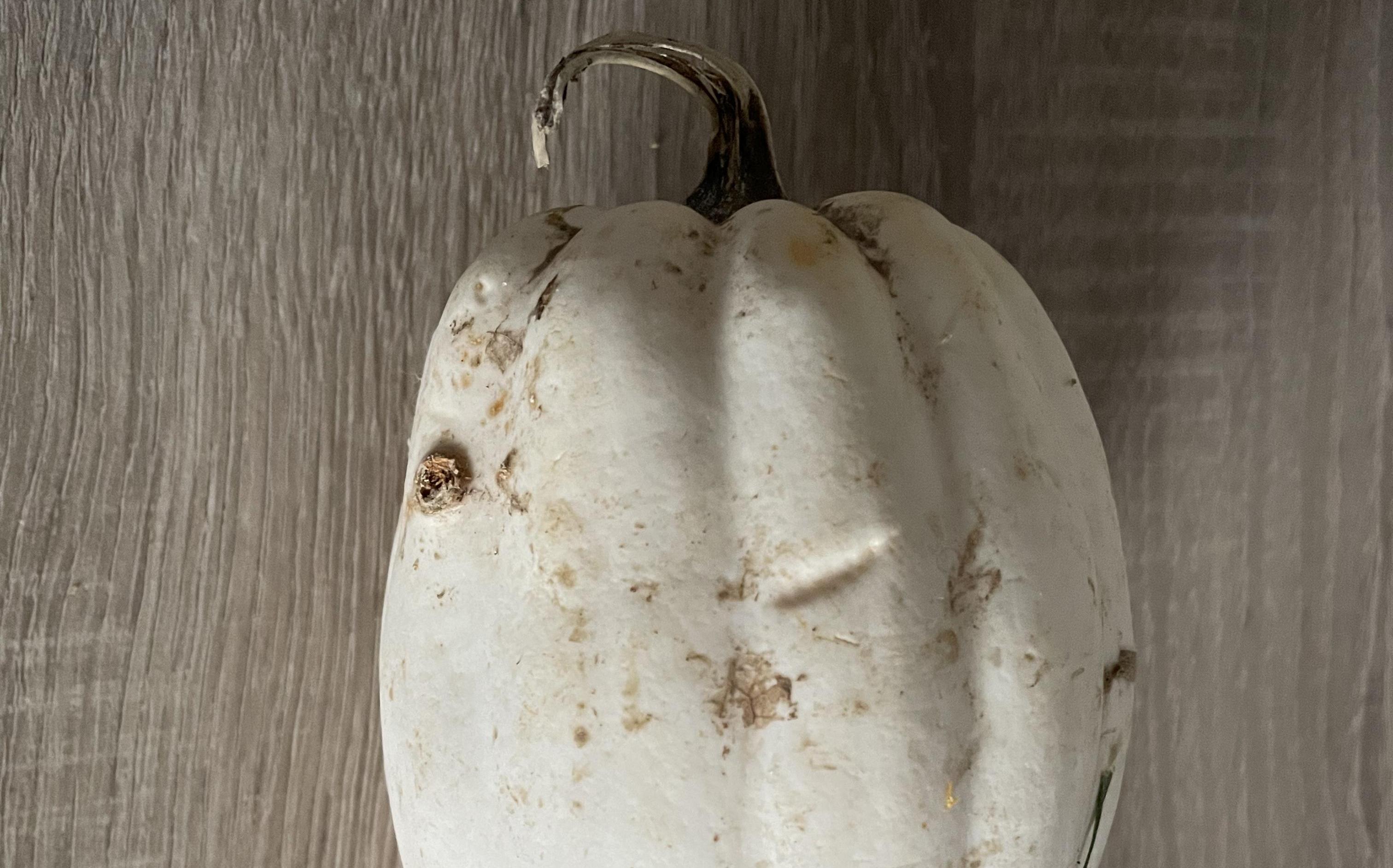 Ferryman Pumpkin