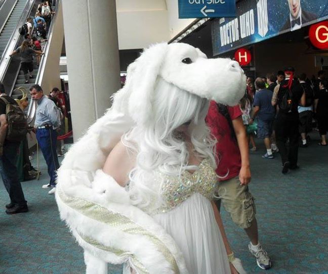 Lady Falcor Costume