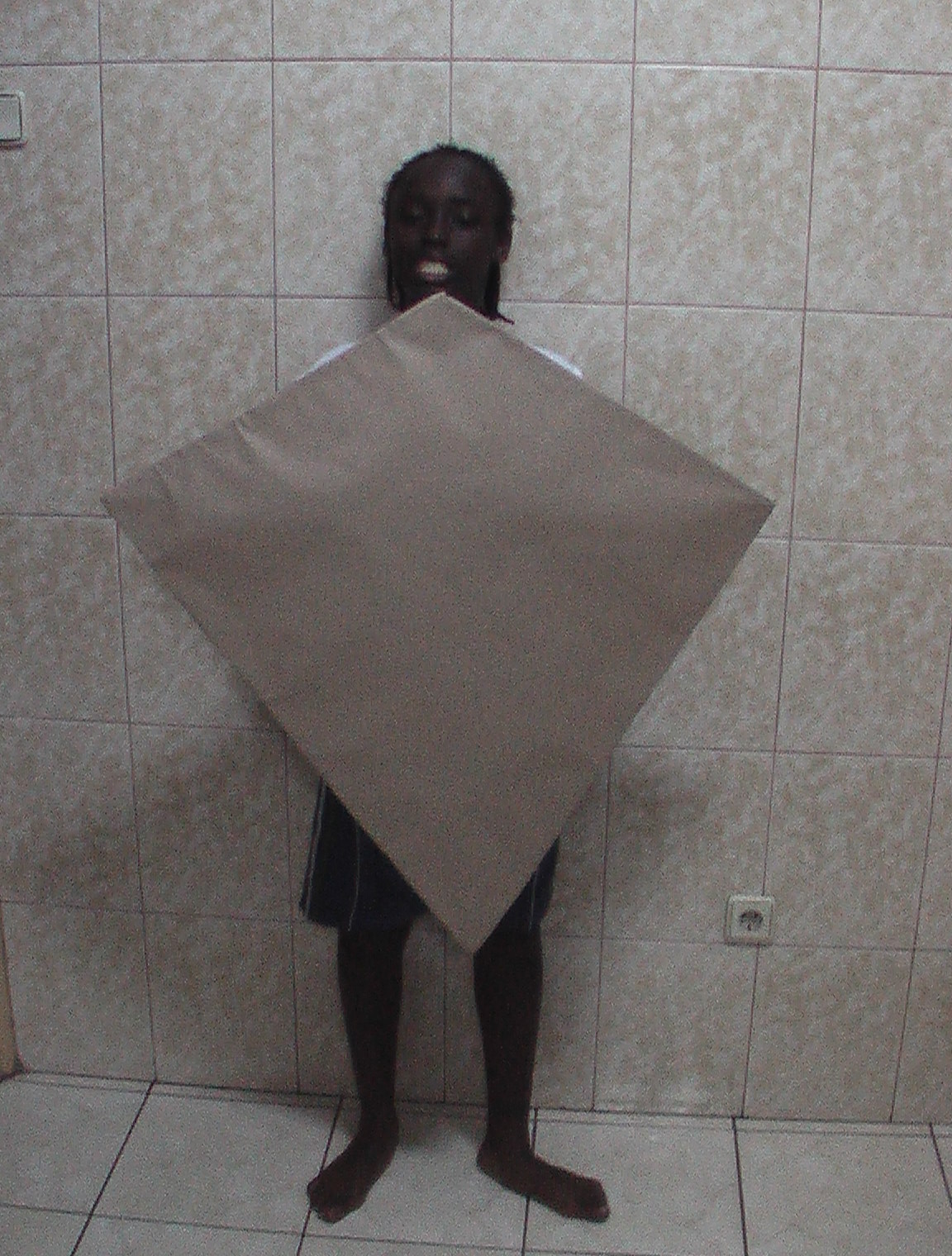 Creating our Kite: Traditional Kite