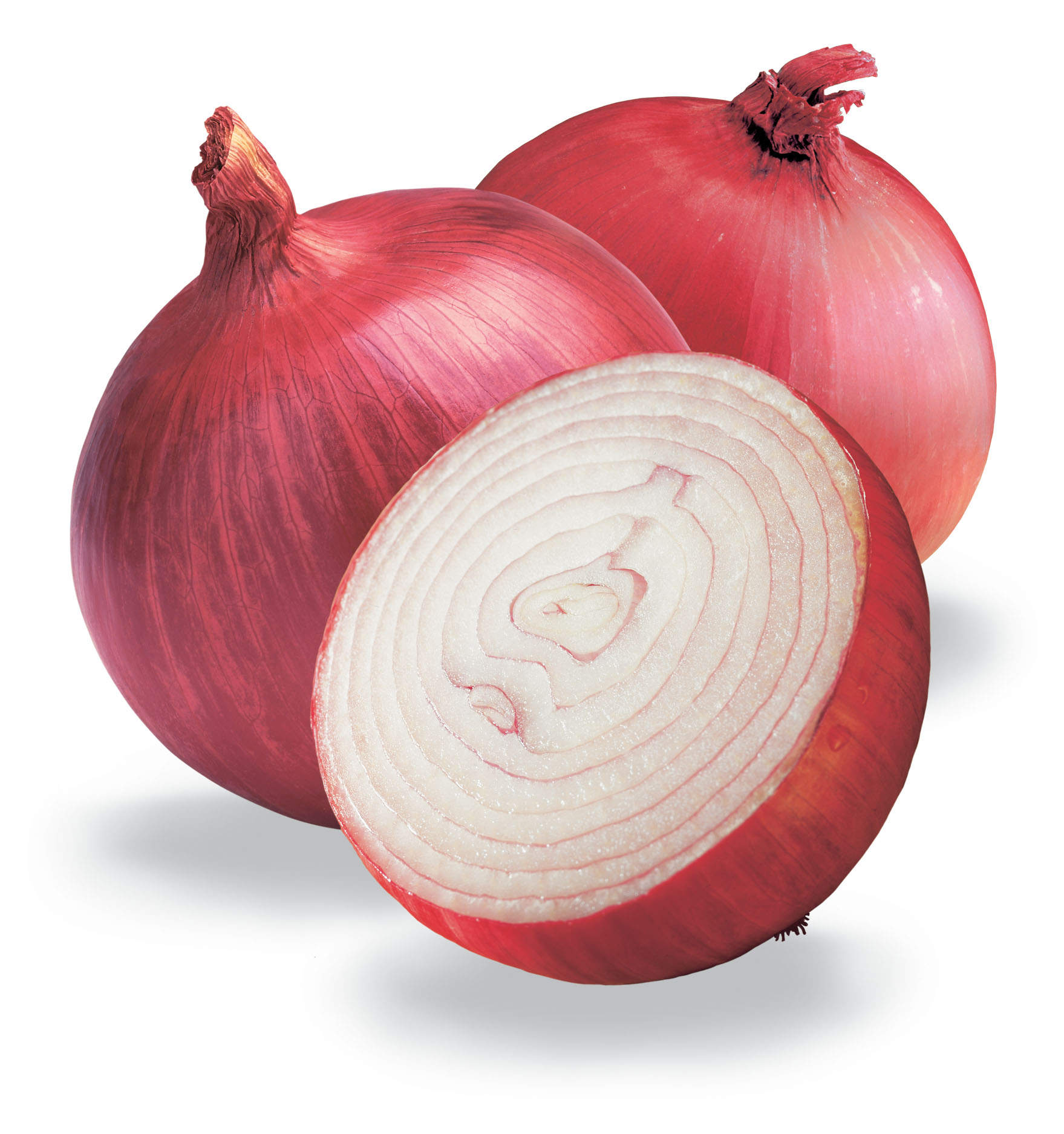 How to cut an onion
