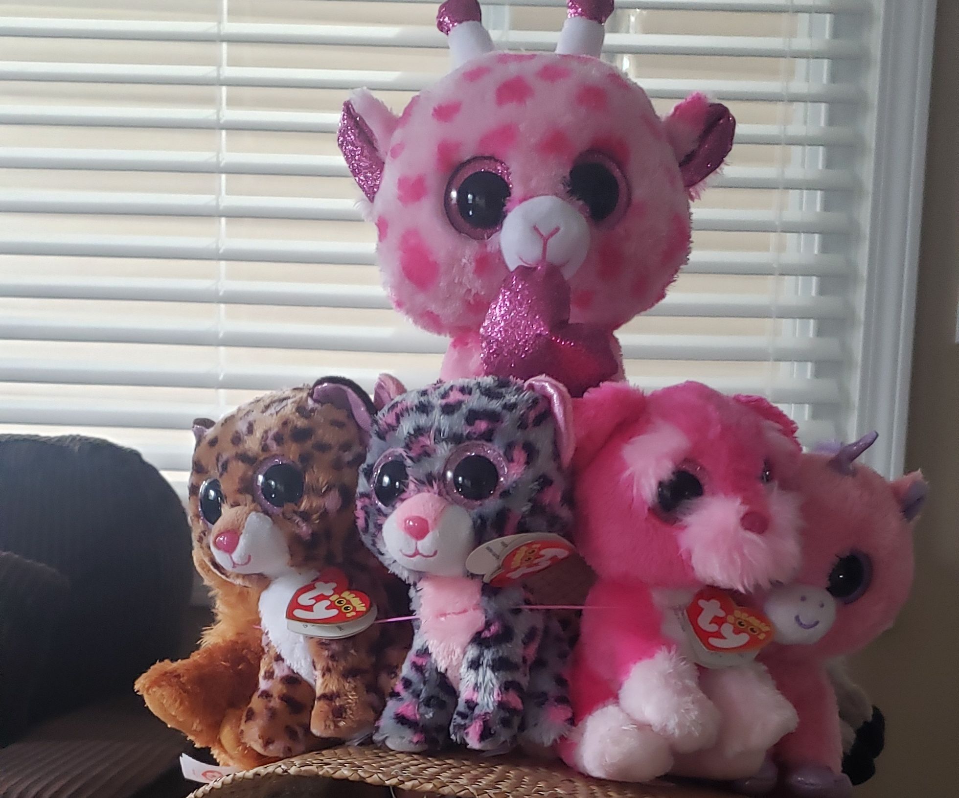 Ty Beanie Boo Hat