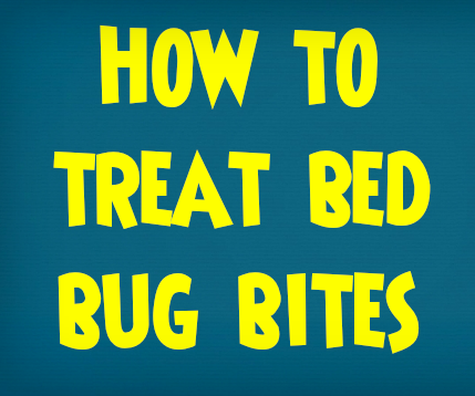 How to Treat Bed Bug Bites | Treating Bites From Bugs and Insects