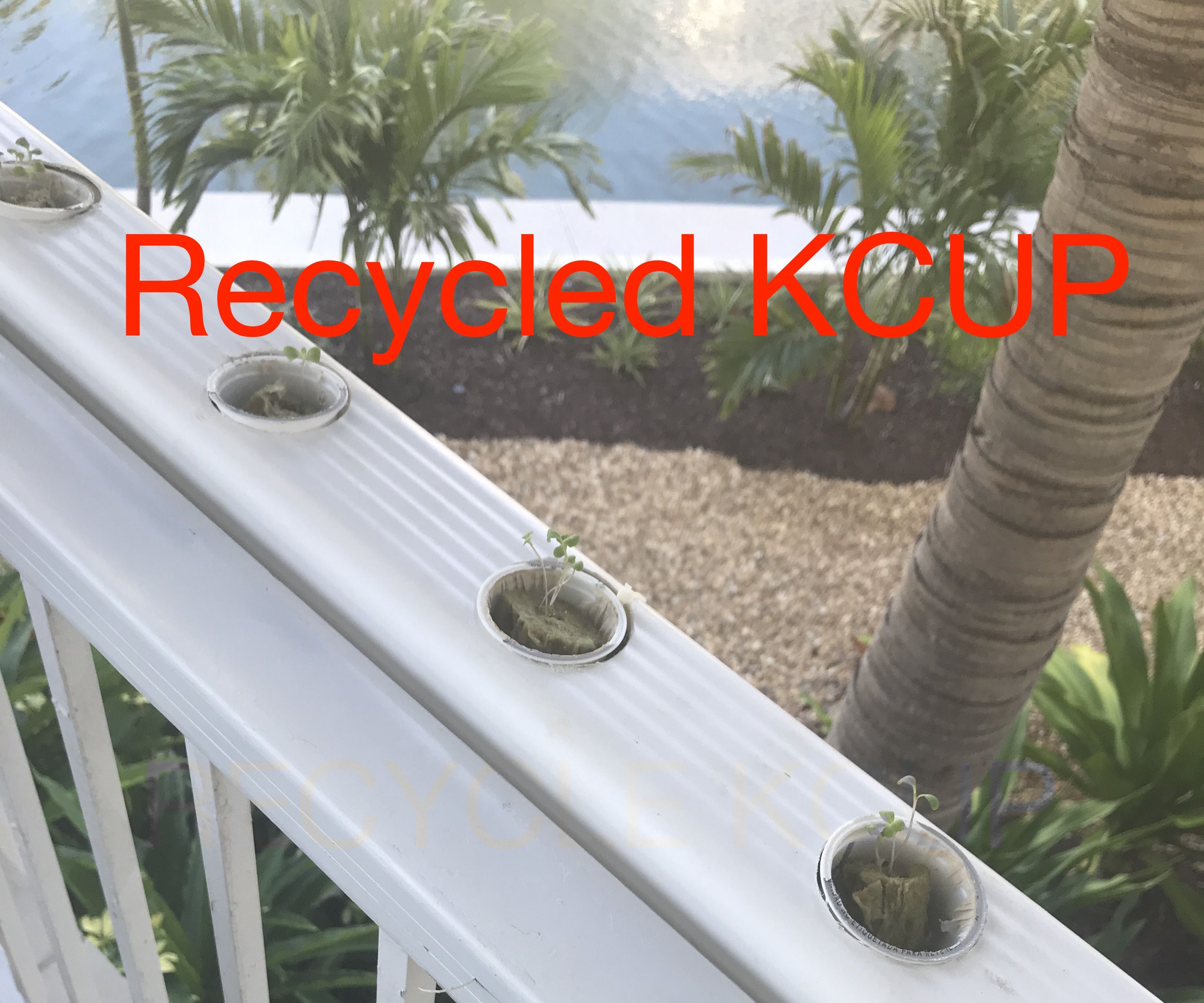 Balcony Recycled Hydroponic Garden