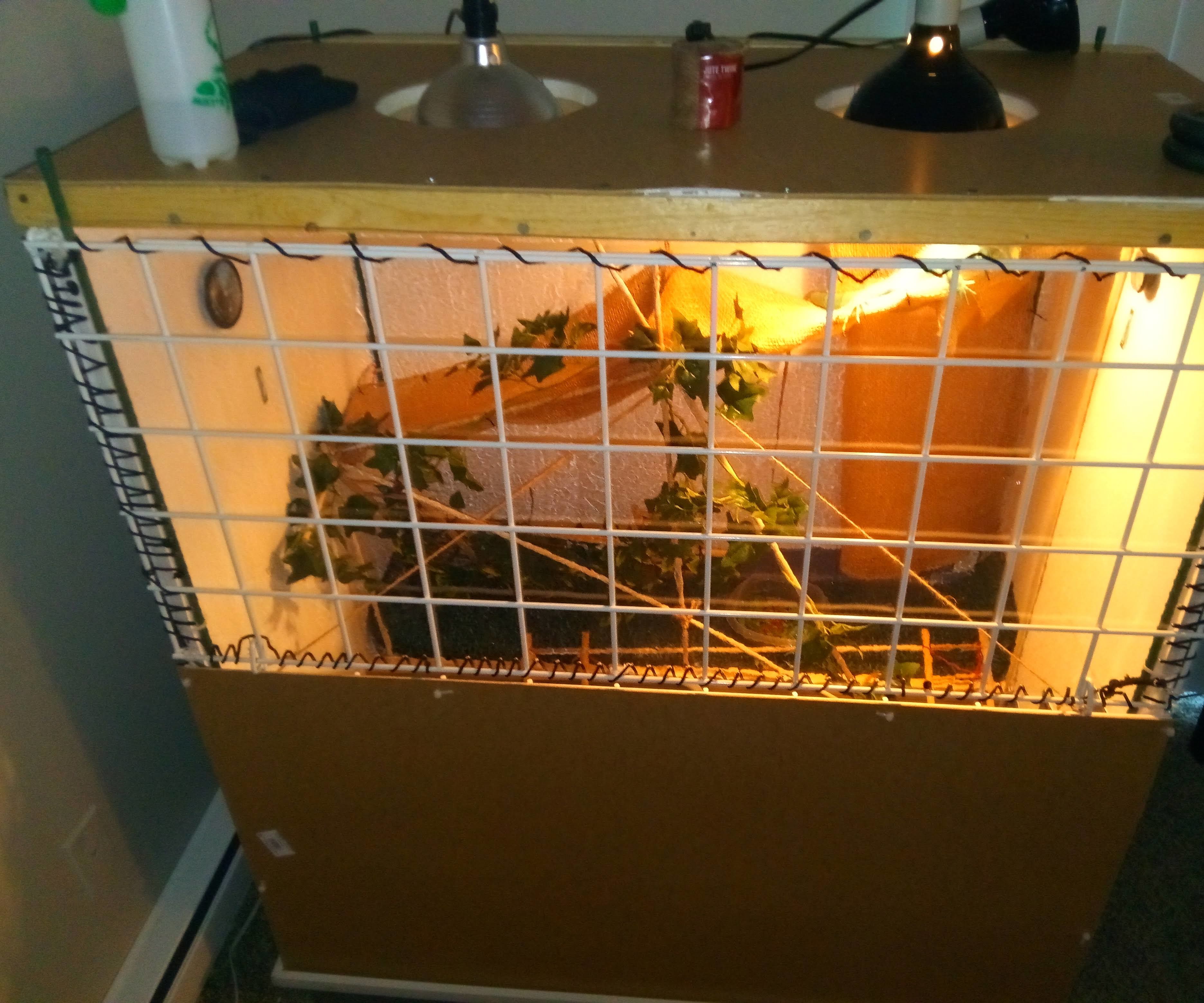 Rolling Indoor Iguana Enclosure