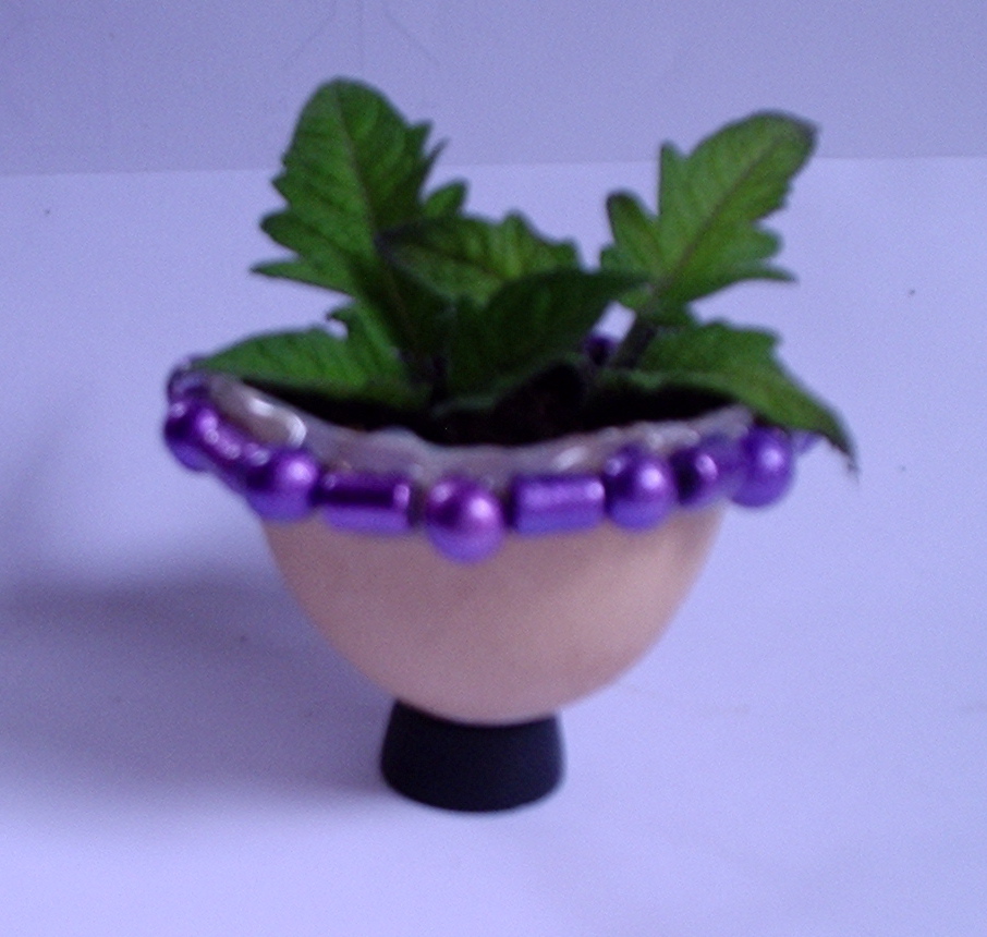 Make an Egg Plant