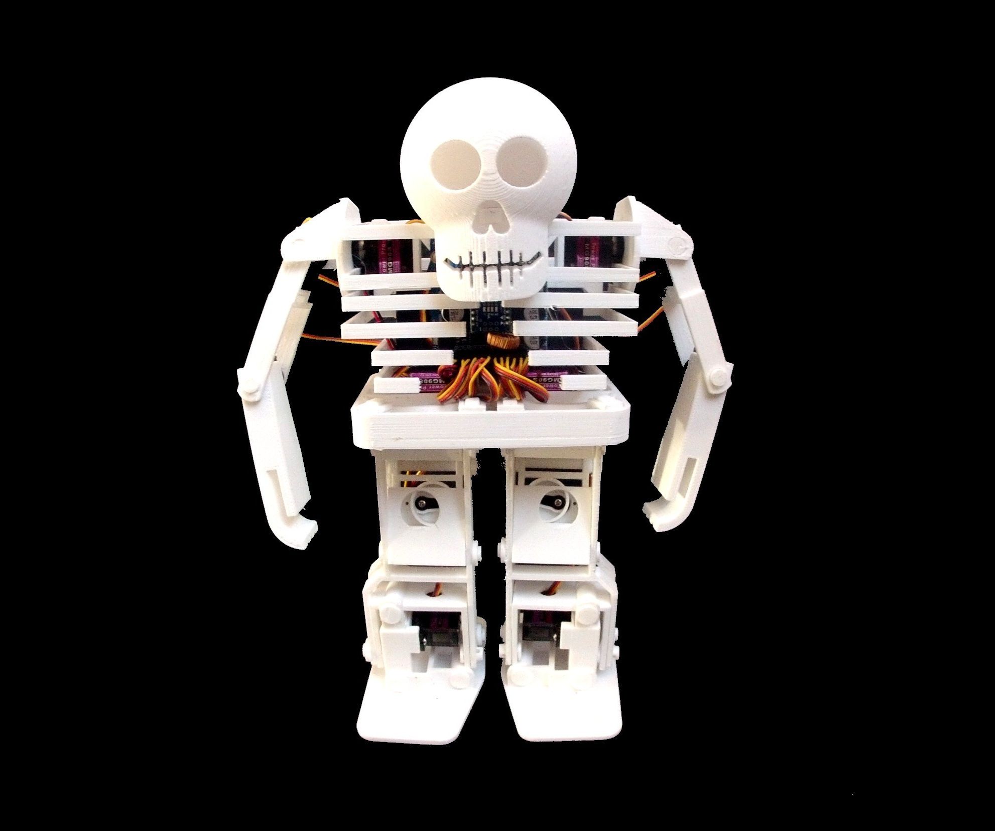 BONES the Humanoid Robot