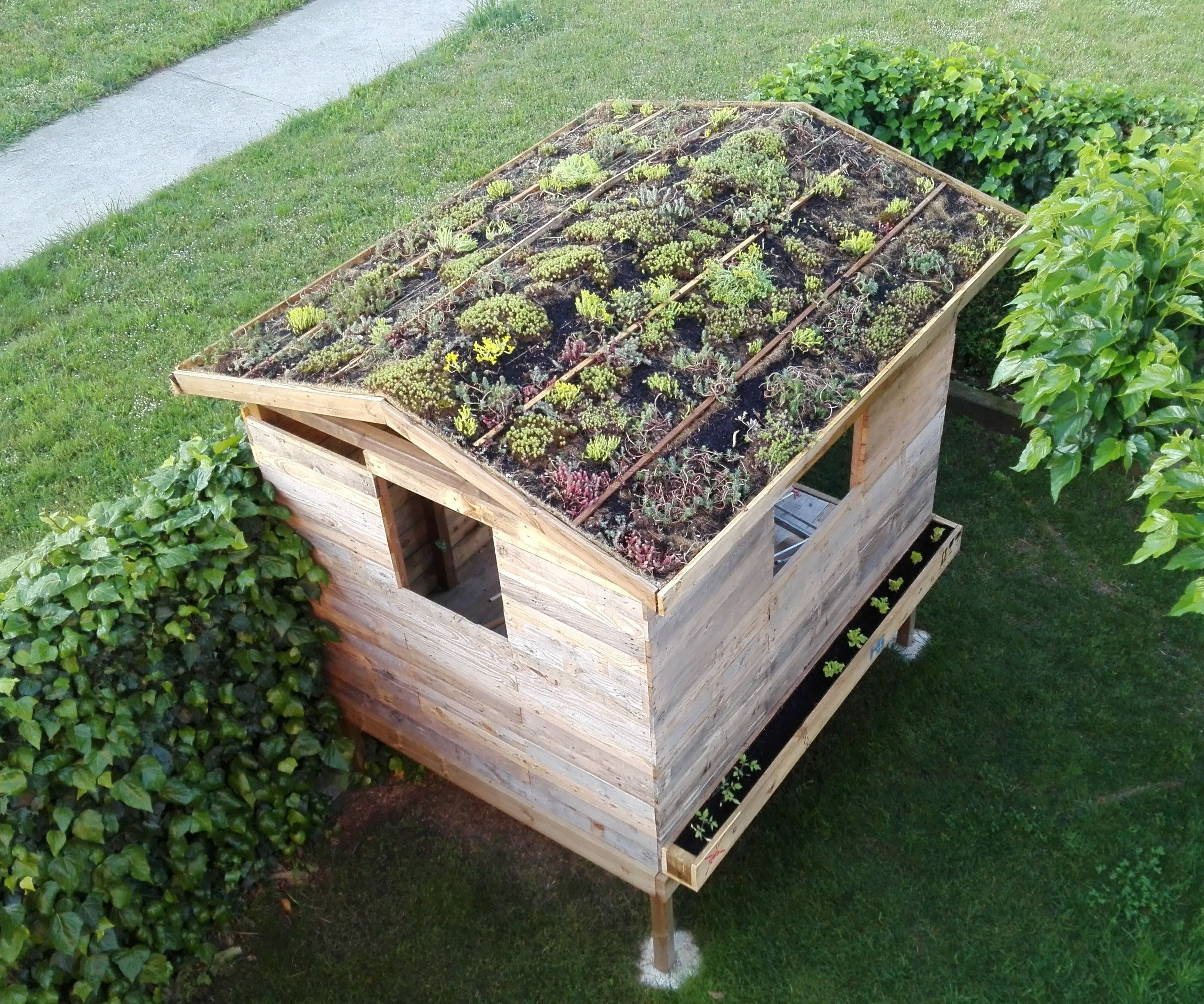 Green Roof for a Tiny Wooden House