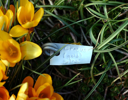 How to Make Durable Plant Markers