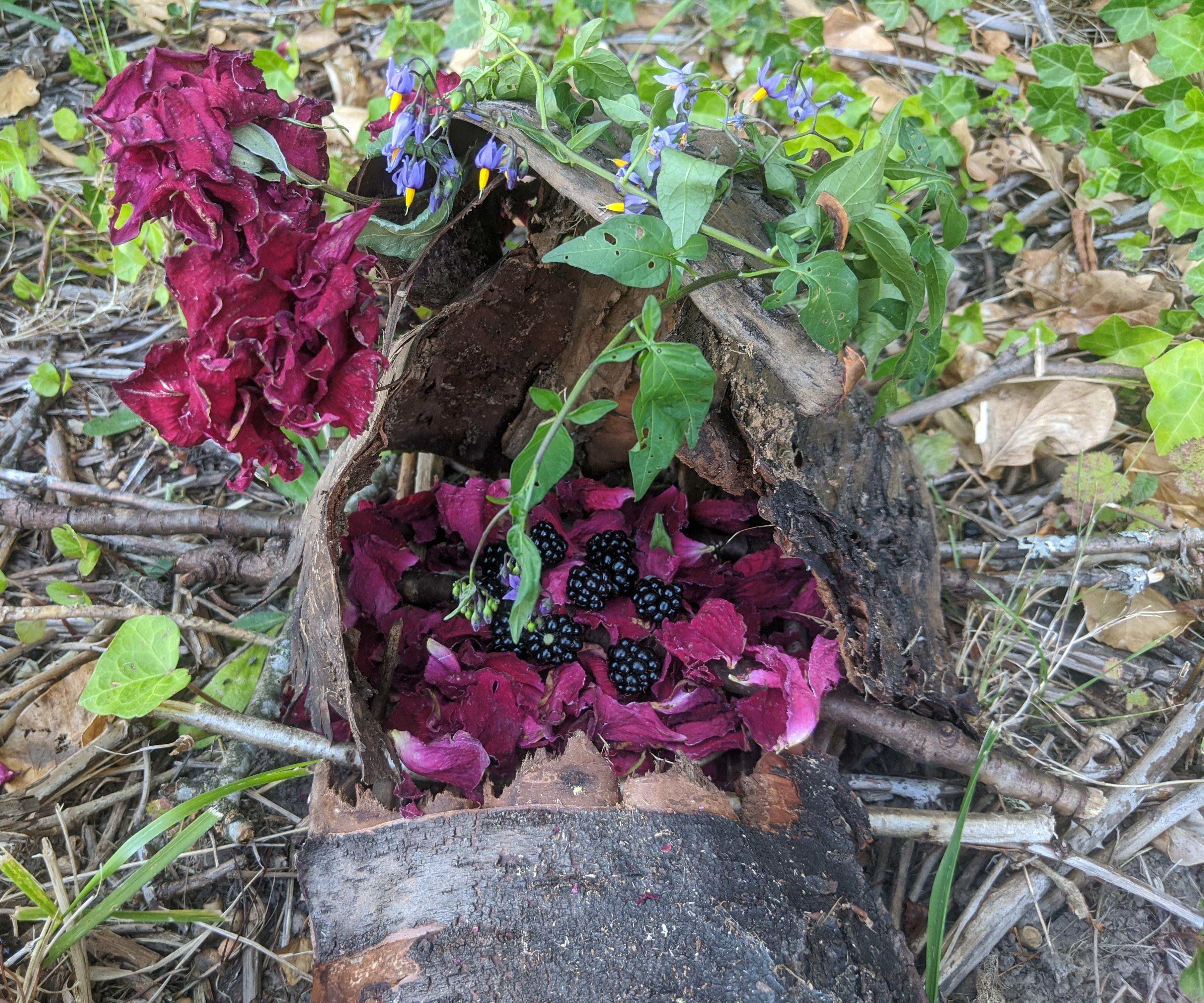 Fairy Houses