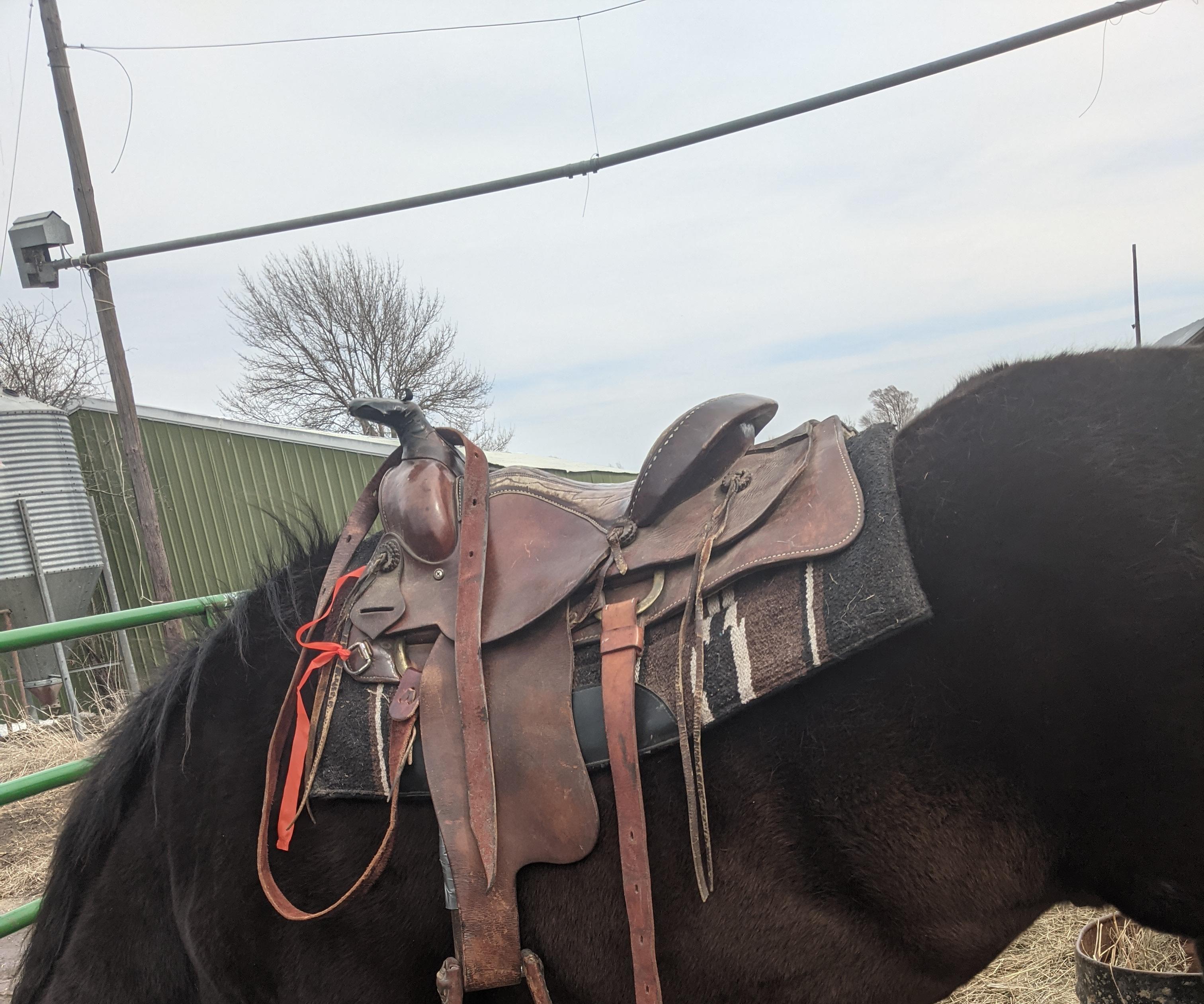 Saddle a Horse