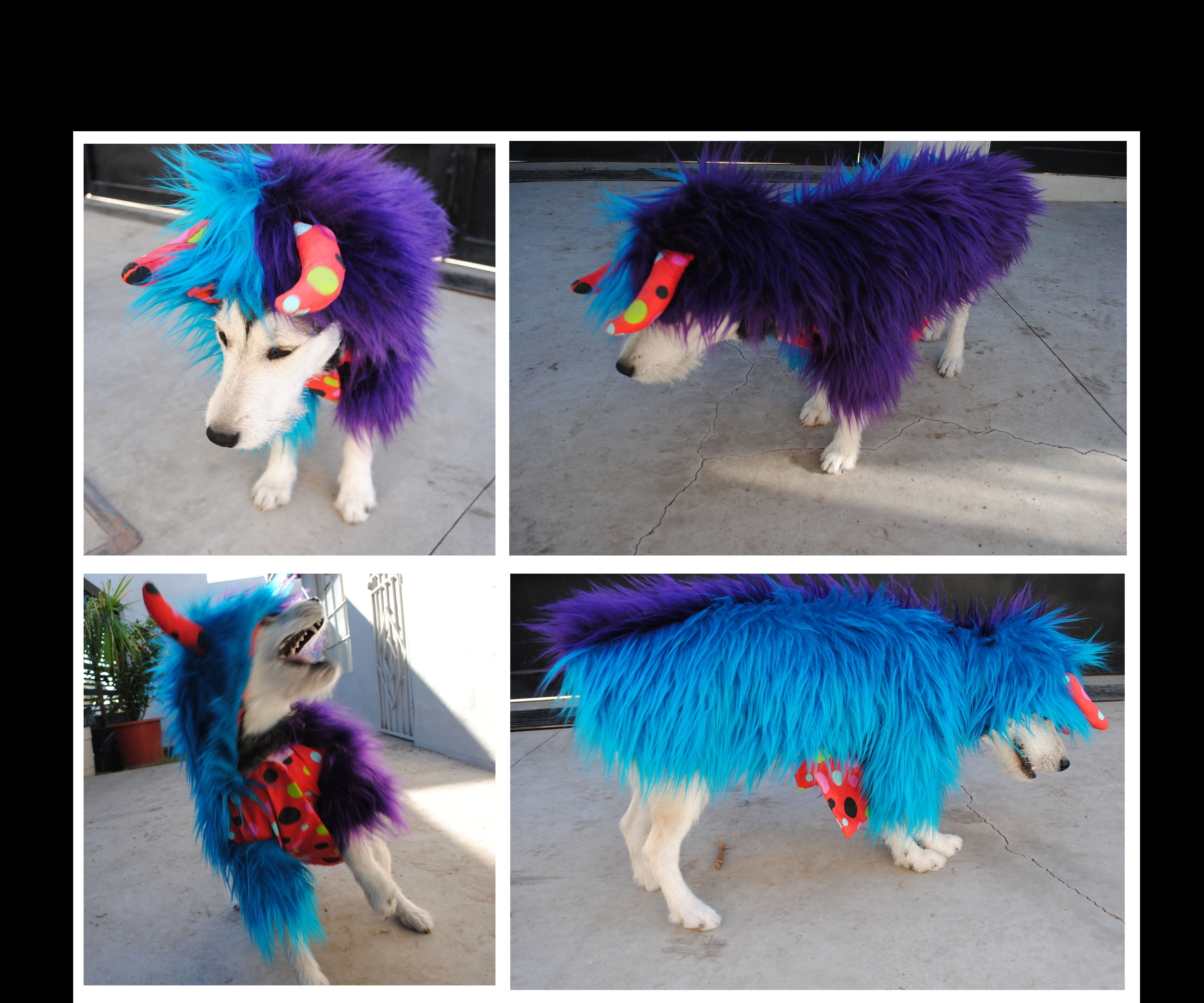 Monsters :: HOW TO MAKE DOG COSTUME