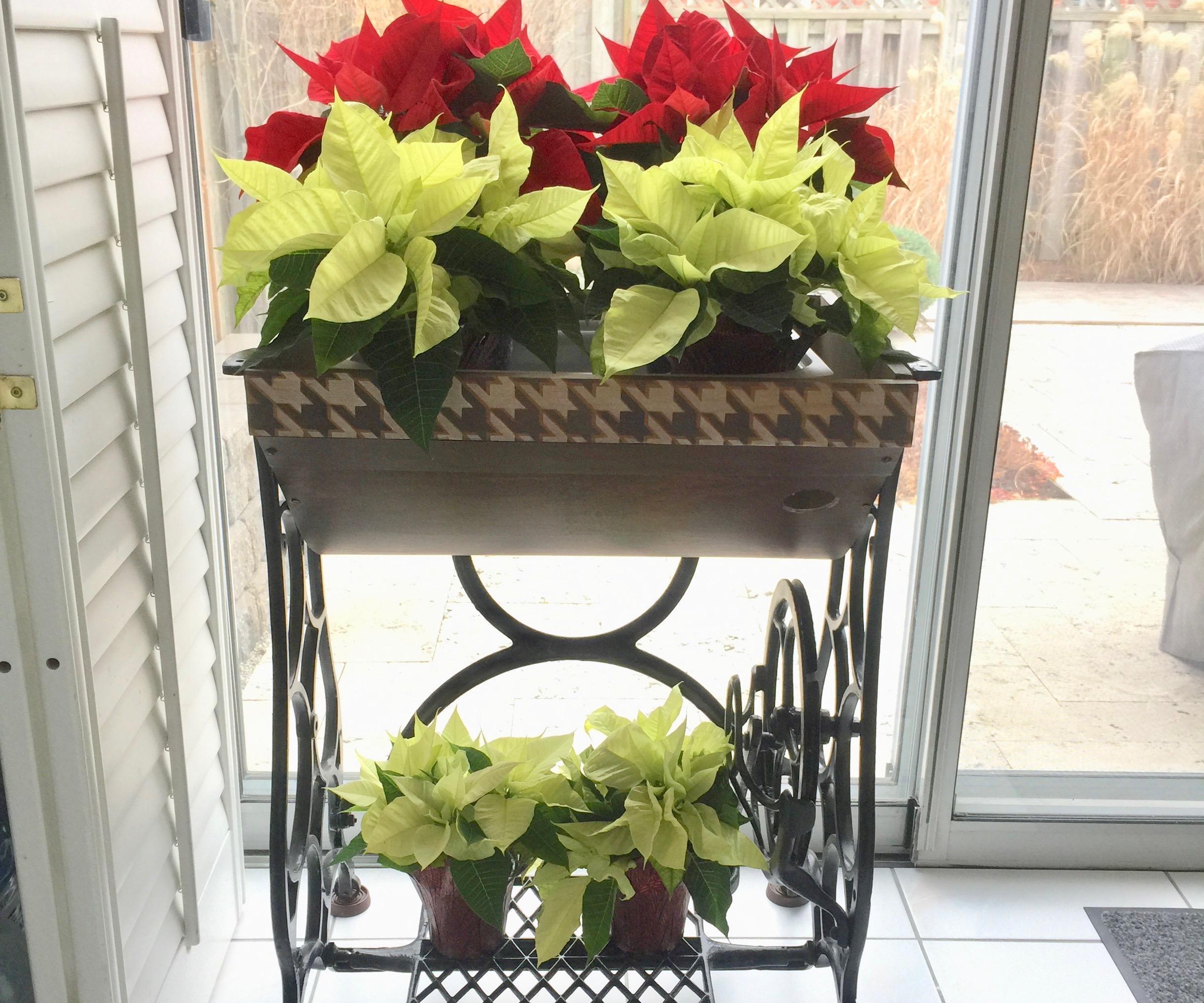 How to Turn a Sewing Base Into a Planter for Christmas