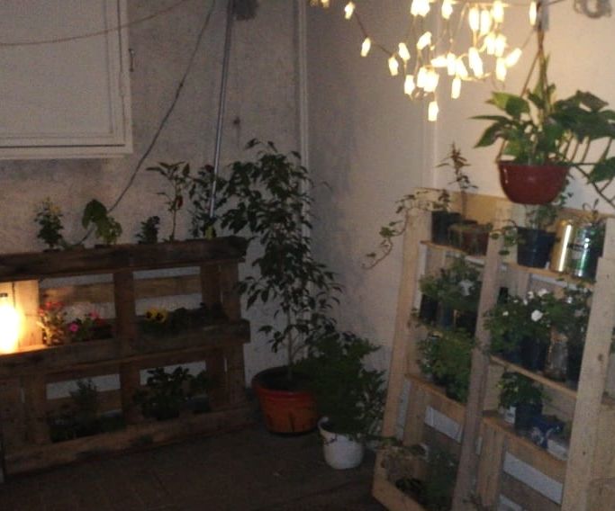 Automated Lightning for Small Garden