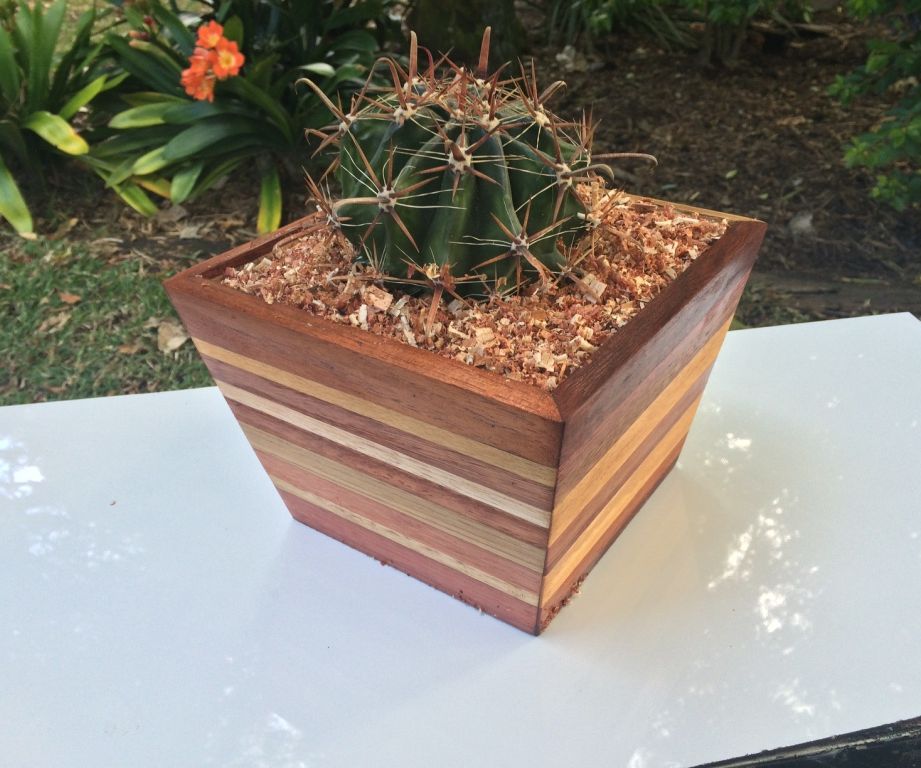 Scrap Wood Pot Plant