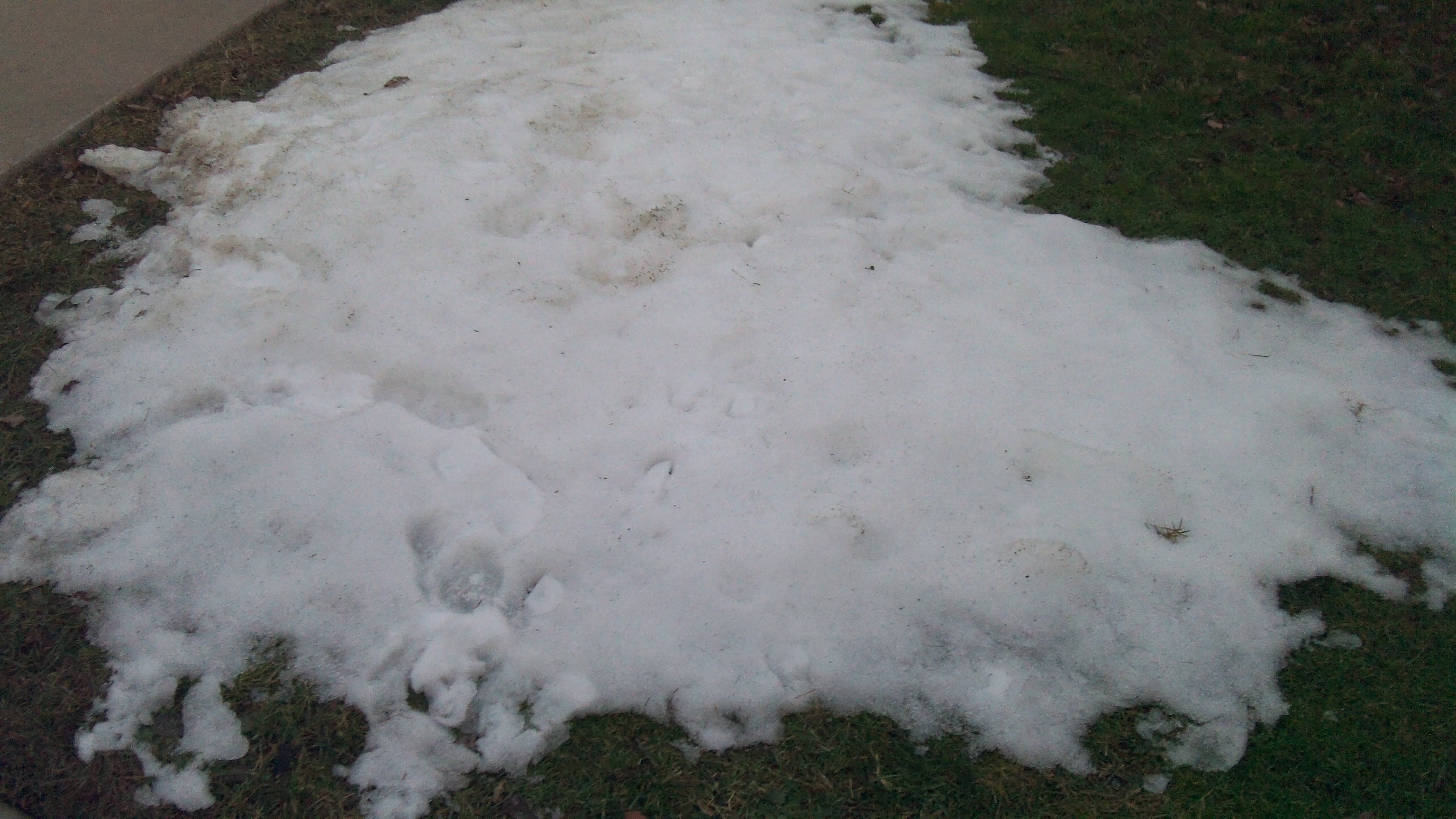 How To Make A Snowball