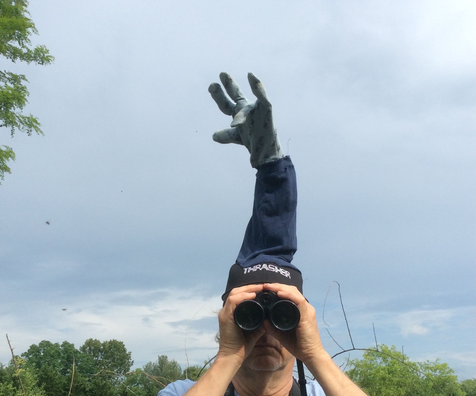 Silly Anti-Gnat Hat