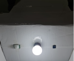 Automatic Lamp