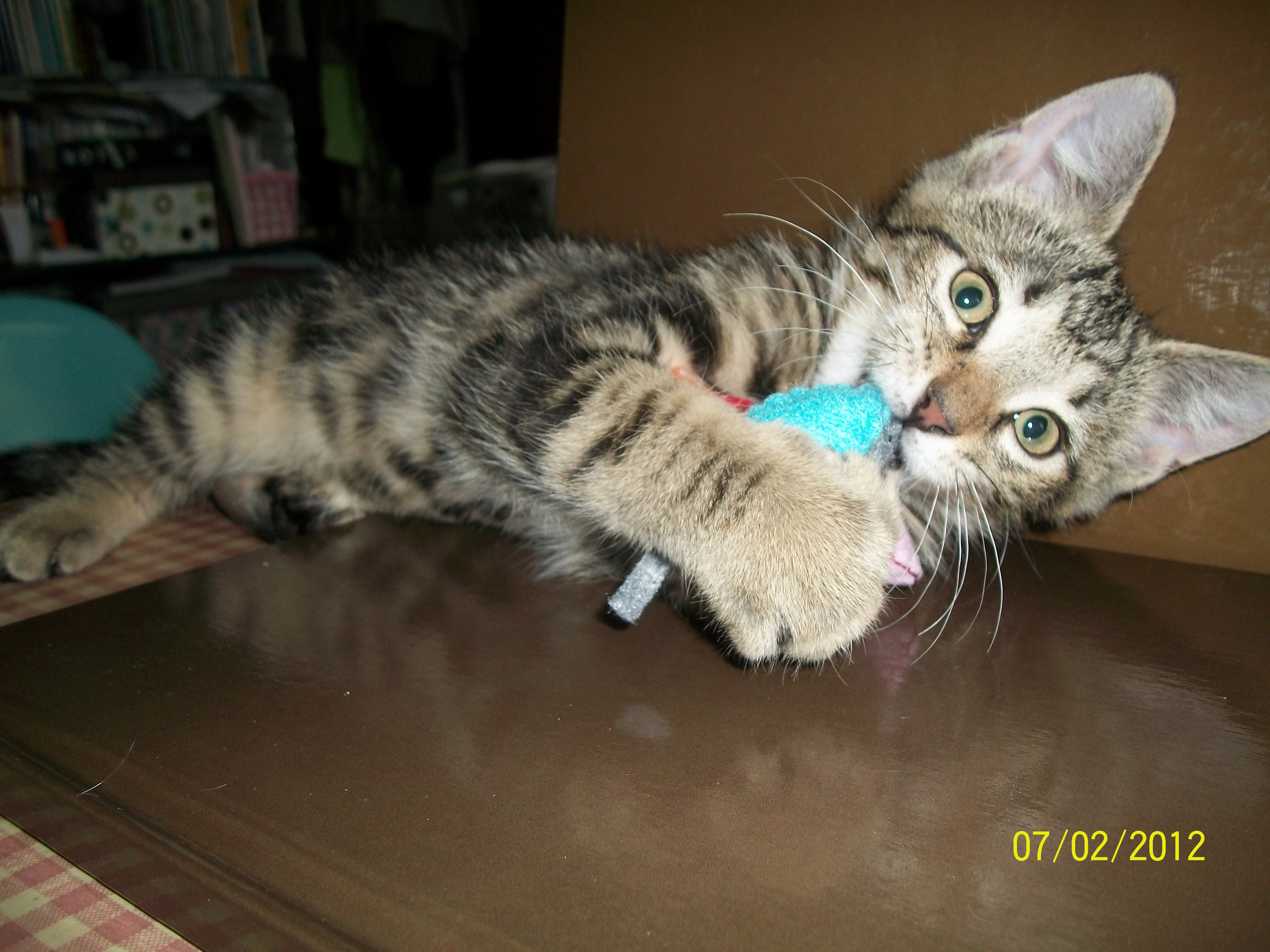 Catnip Mouse Cat Toy