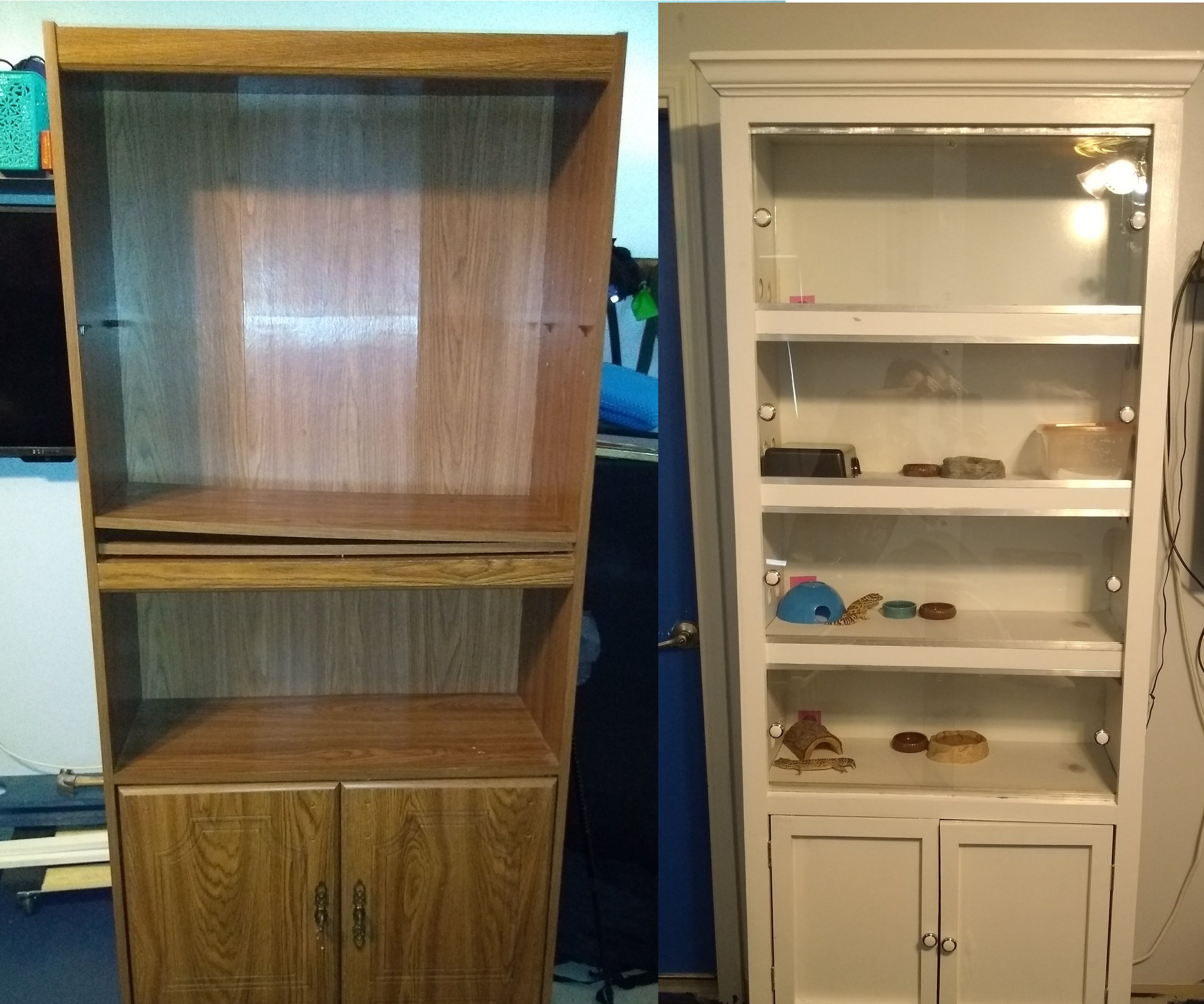 Upcycle a Particleboard Bookcase Into a Reptile Enclosure
