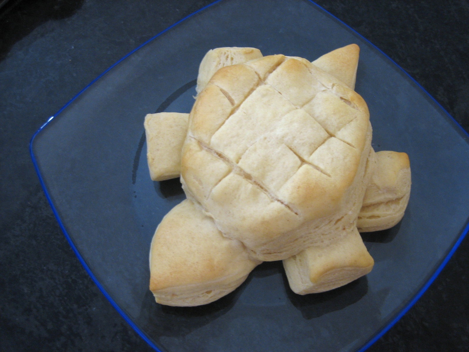 Turtle Biscuits