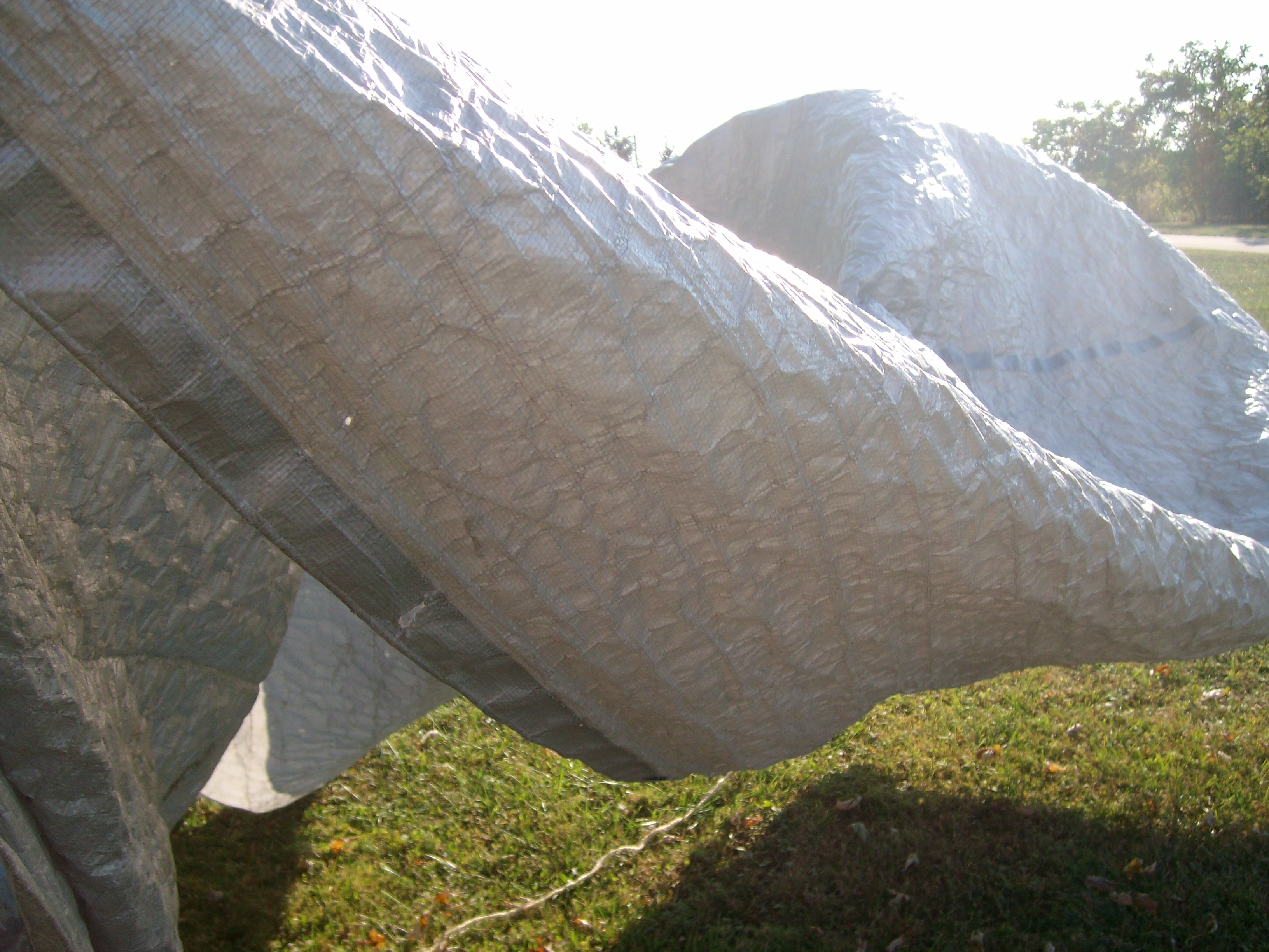 tarp kite