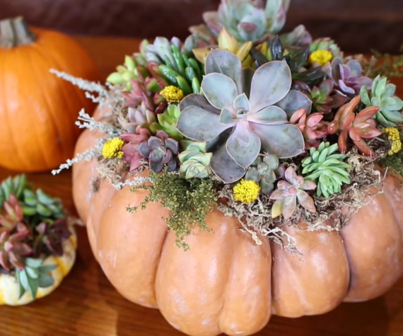 How to Create a Halloween Pumpkin Centerpiece