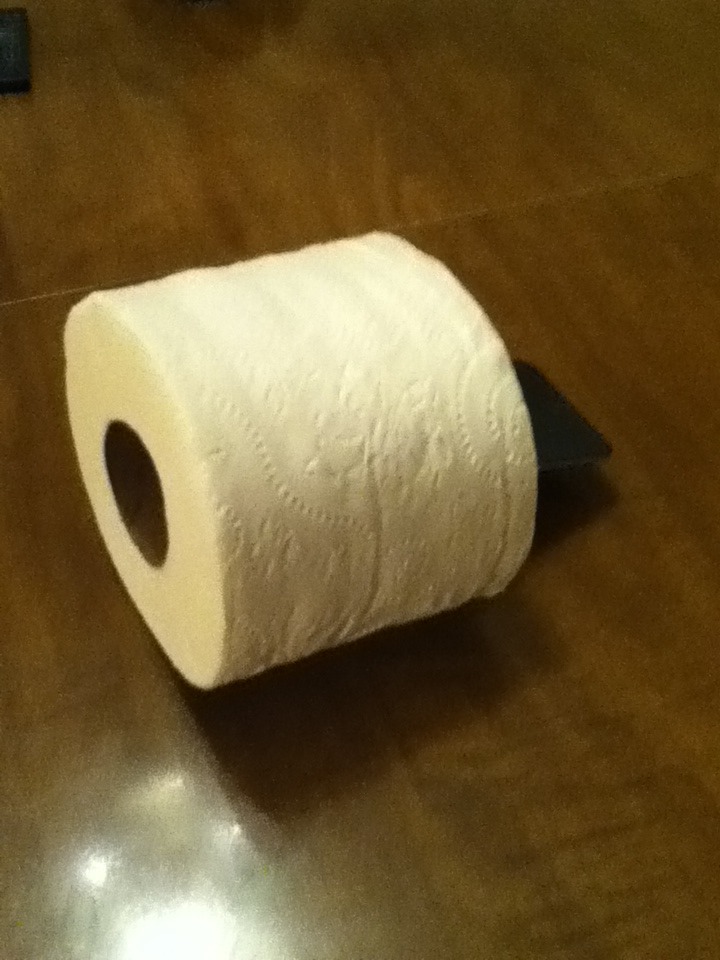 Toilet  paper speakers