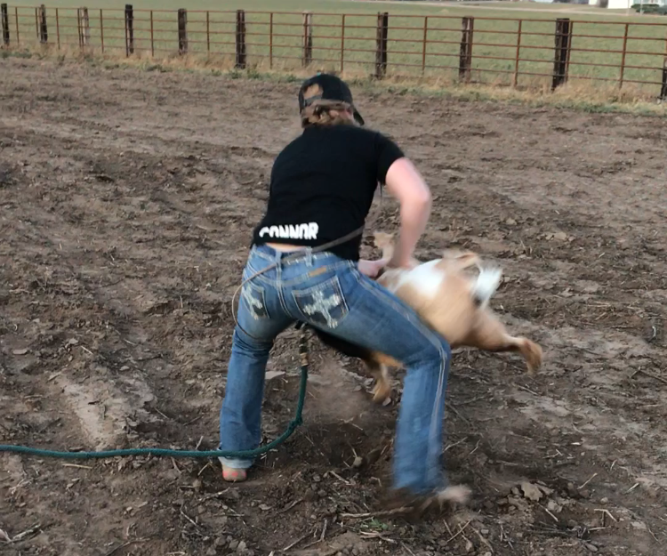 How to Goat Tie