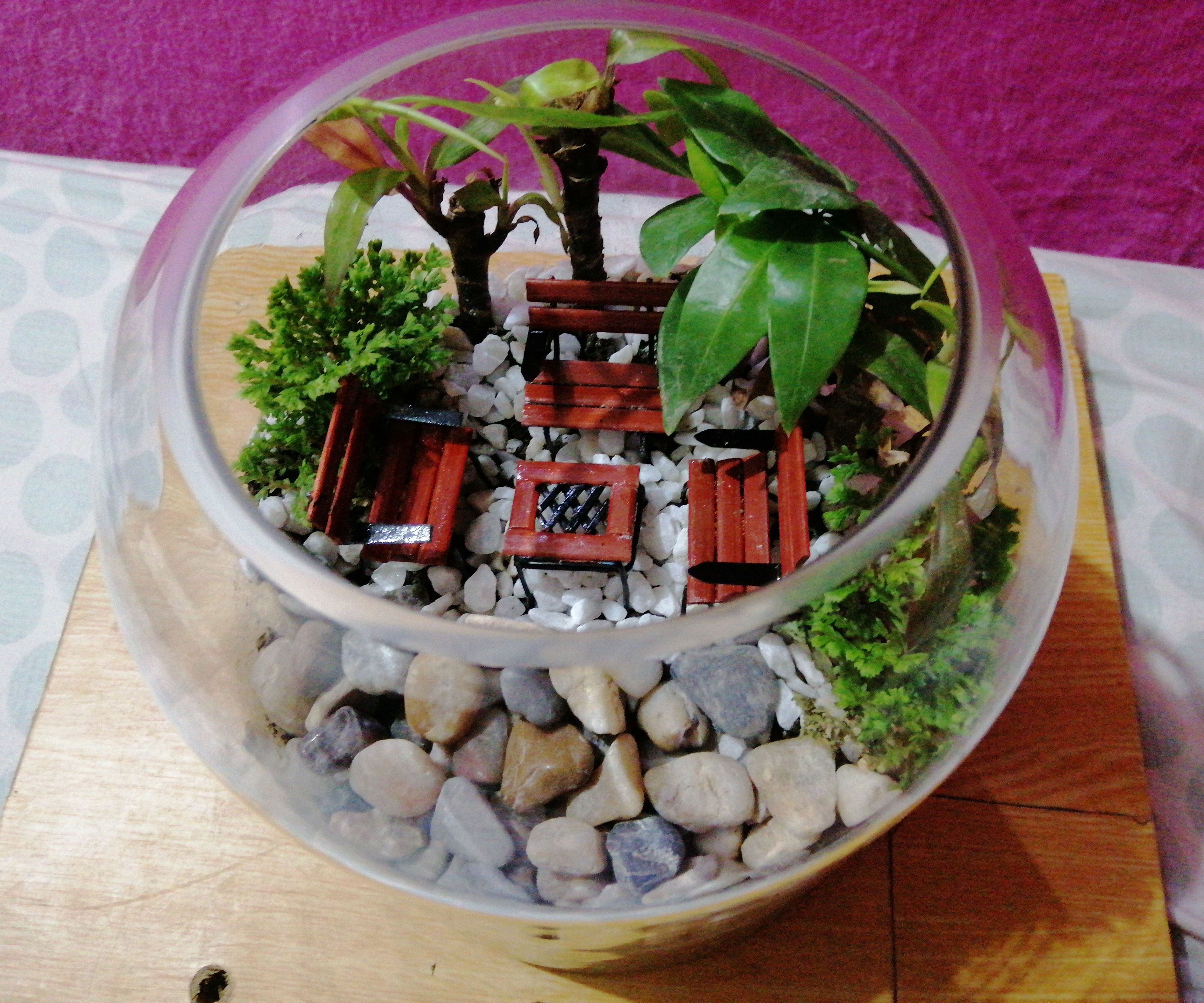 Make Your Own Terrarium