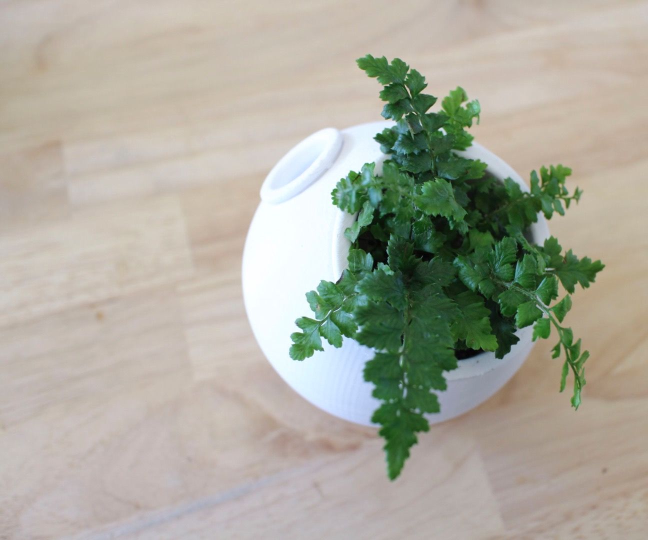 3D Printed Self-Watering Planter