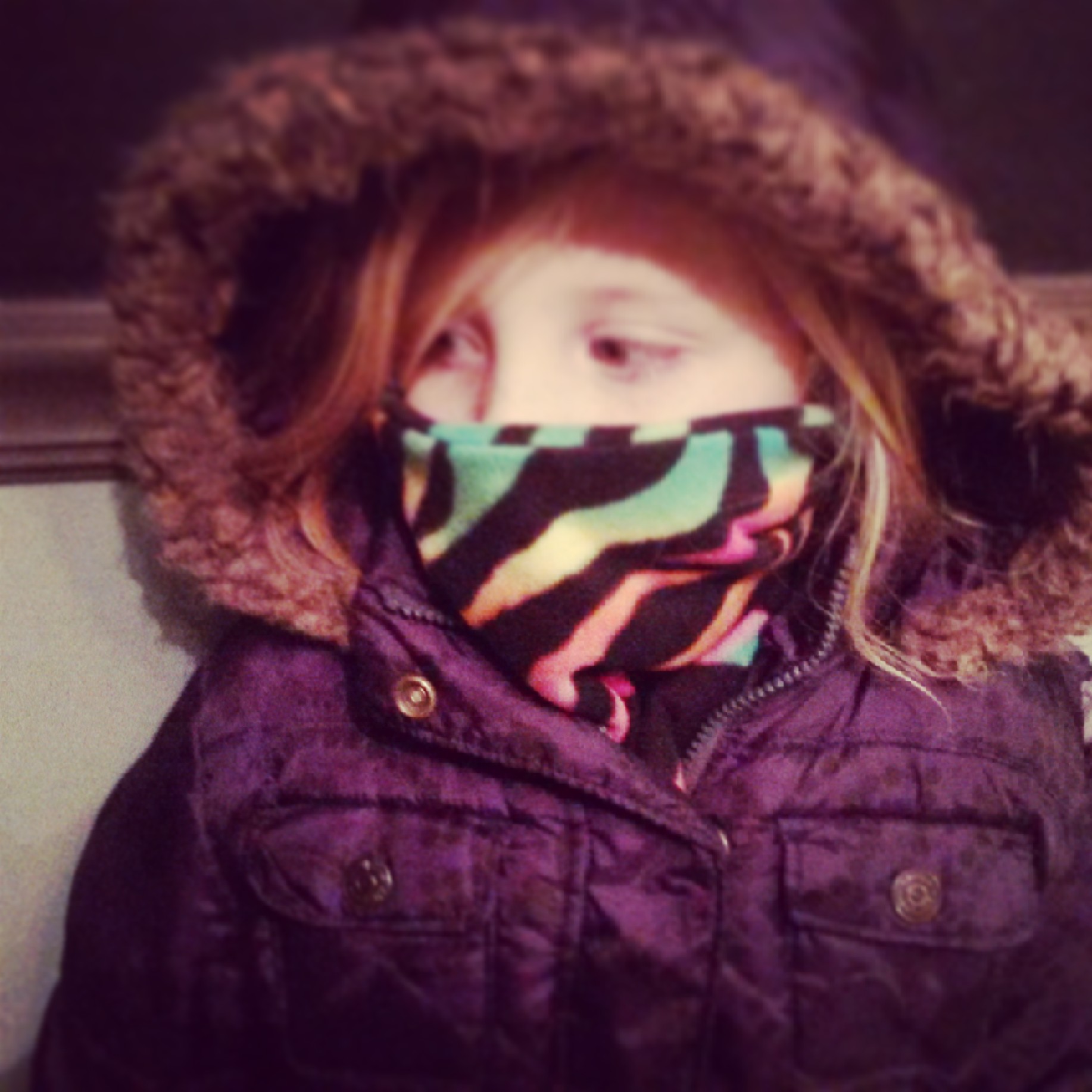 Fleece Scarf