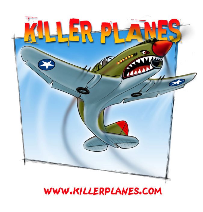 RC AIRPLANE HOW TO PROTECT YOUR TIPS