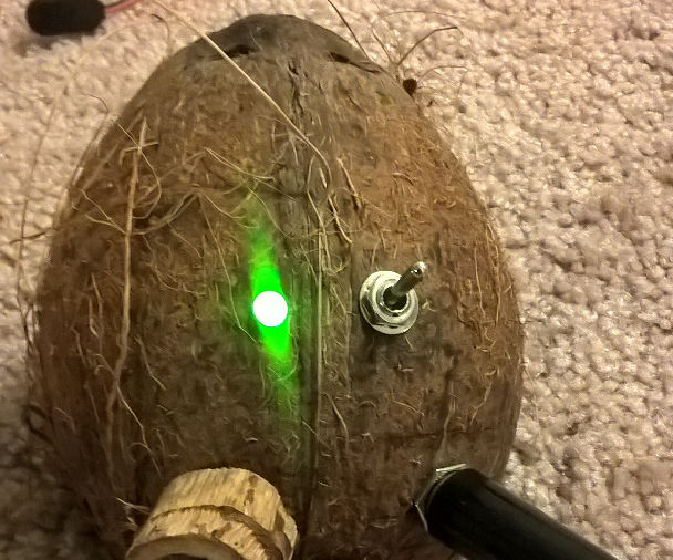 Coconut amplifier