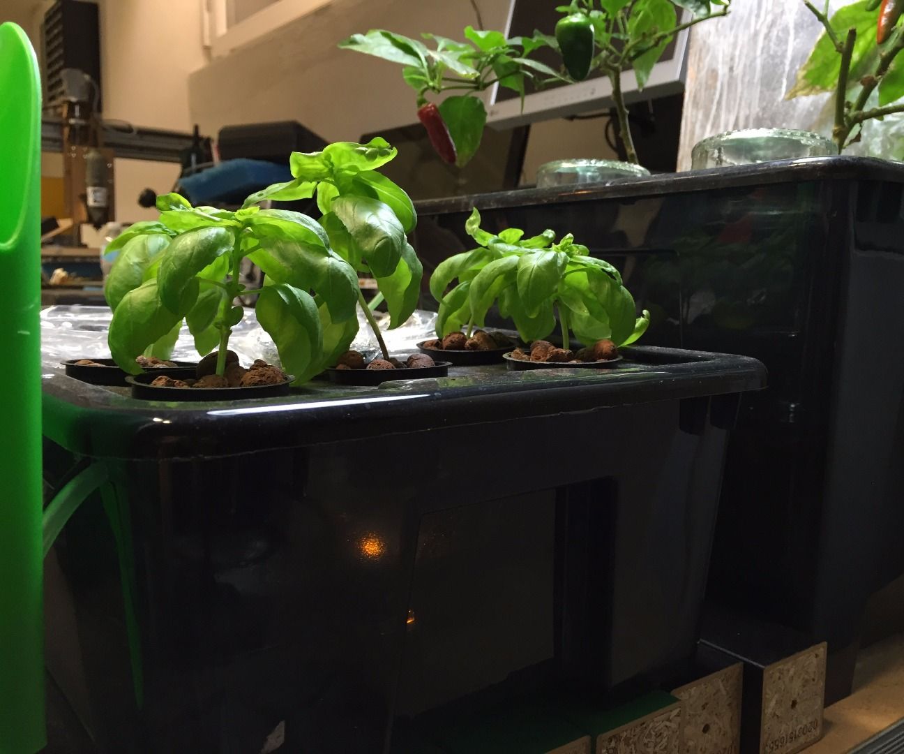 Fogponic Garden (Hydroponics With Fog) 