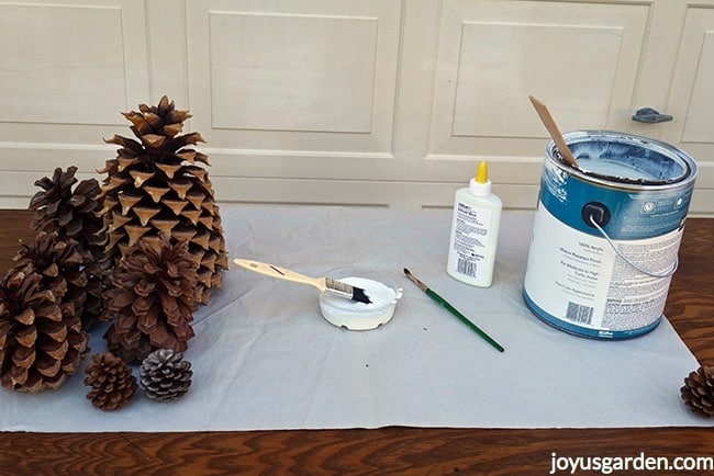 An-assortment-of-pine-cones-sit-next-to-a-dish-filled-with-paint-glue.-Also-on-the-table-are-a-container-of-glue-a-can-of-house-paint_new.jpg