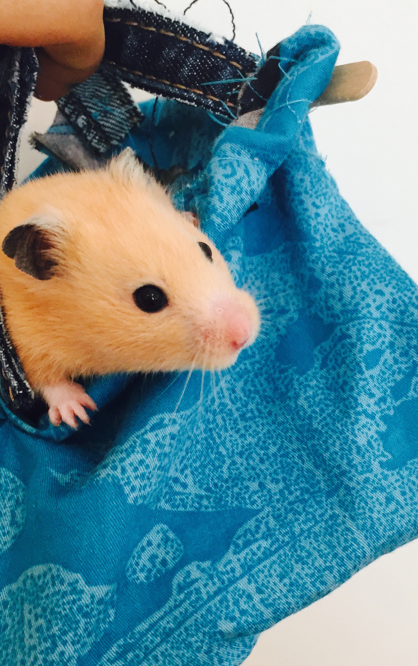 Hamster Carrier