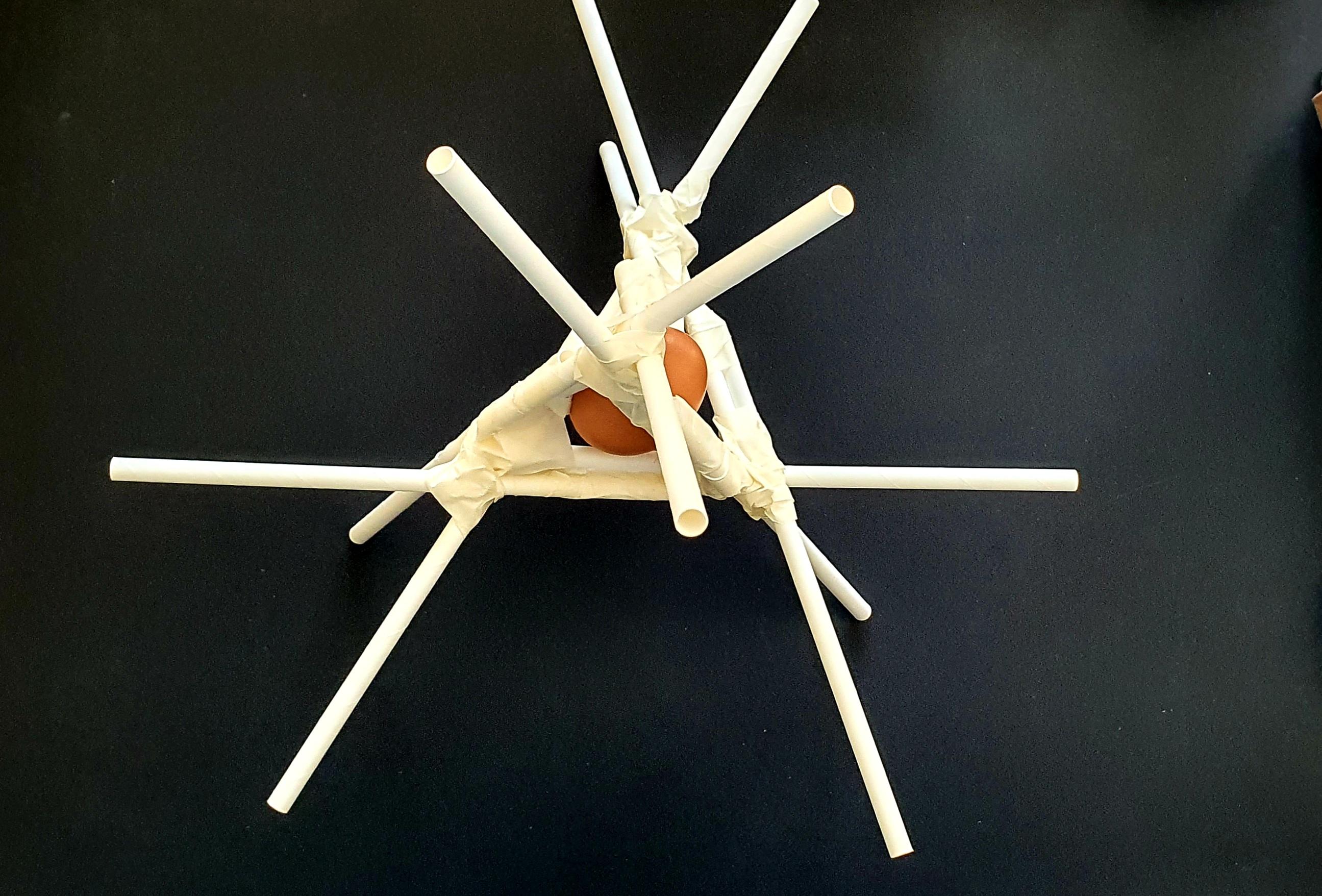 Egg Drop
