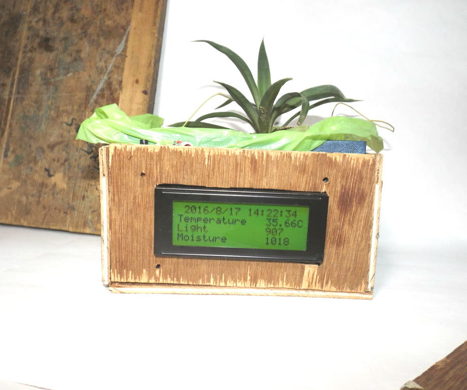 Plant Box