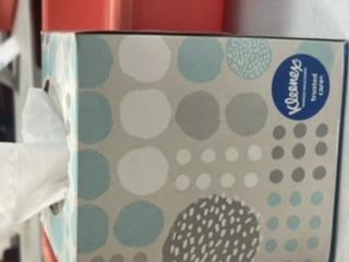 Tissue Box Hiding Place 