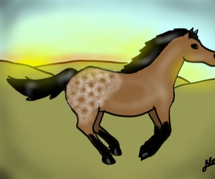How to Lunge a Horse
