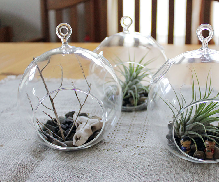 DIY Airplant Terrarium and Sculpey Cow Skull