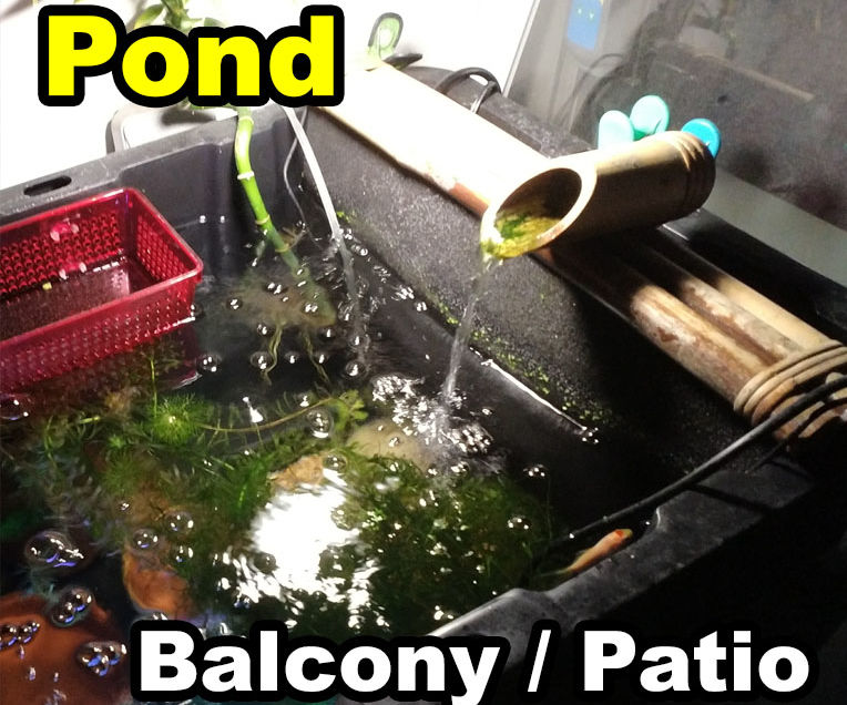 Container Patio Balcony Pond