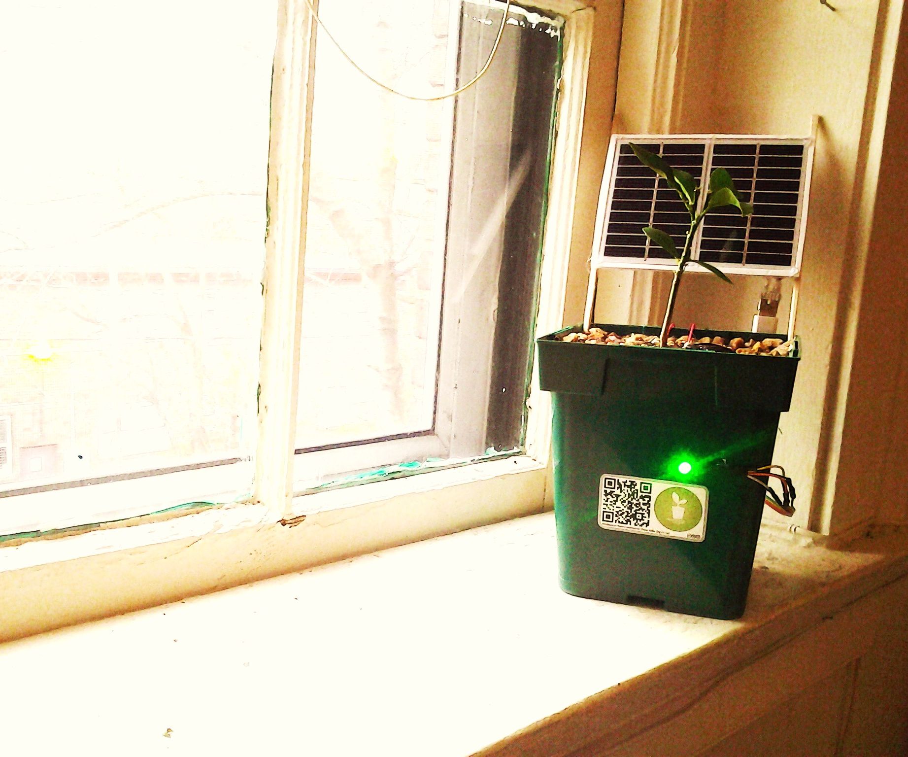 Solar Powered Plants